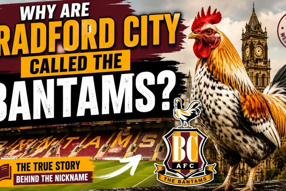Why Are Bradford City Called the Bantams The True Story Behind the Nickname