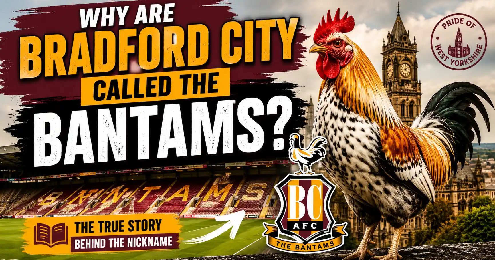 Why Are Bradford City Called the Bantams The True Story Behind the Nickname